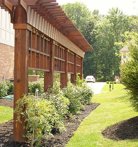 trellis_in_rear_yard_lg